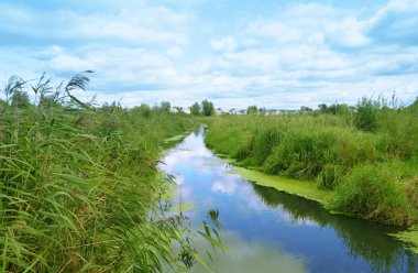 Yeşil bankalar ile nehir mesafe içine bırakarak.