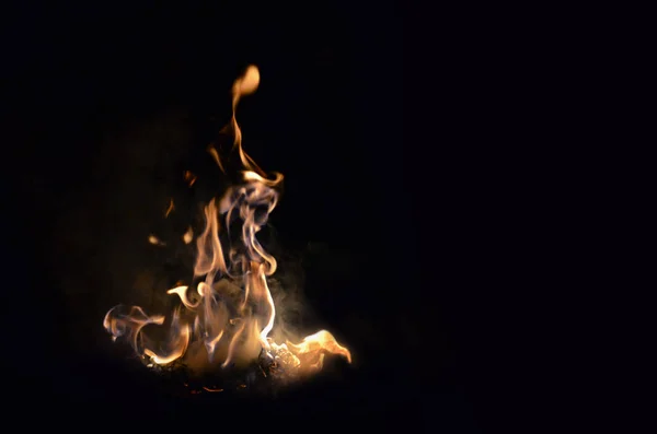 Flame campfire at night.