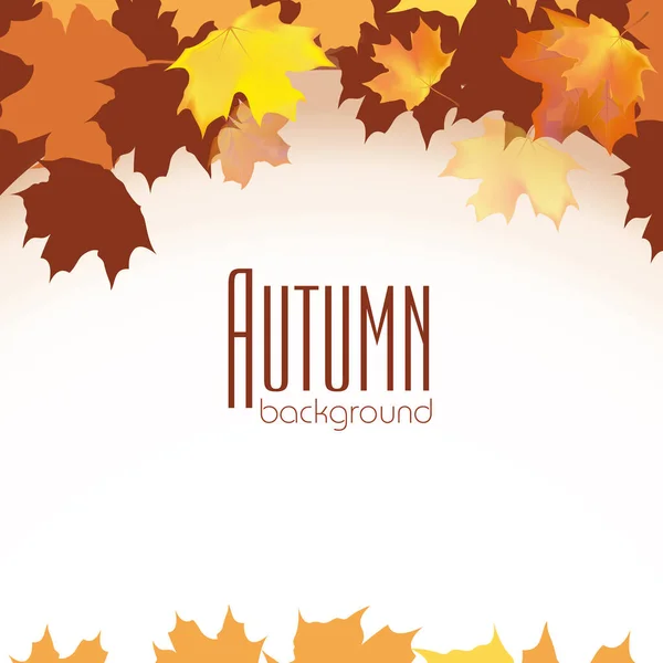 Herfst Geel Bruin Oranje Esdoorn Bladeren Een Witte Achtergrond Boven — Stockvector