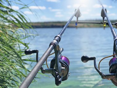 Göllü ve gökyüzü olan bulanık bir arazide sazan balığı avlamak için olta kamışı. Sports sazan balıkçılığı, vahşi yaşam, şehir dışında dinlenme, balık günü..