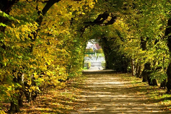 sonbahar sokakta park