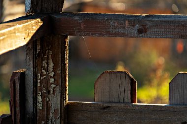 Güzel bahar günü bahçede