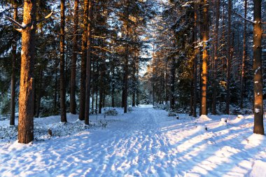 Kış Masalı Parthenon'un bir