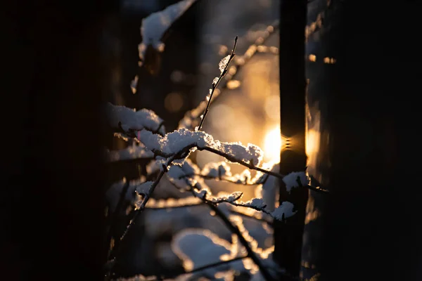 Wintermärchen Teil Eins — Stockfoto