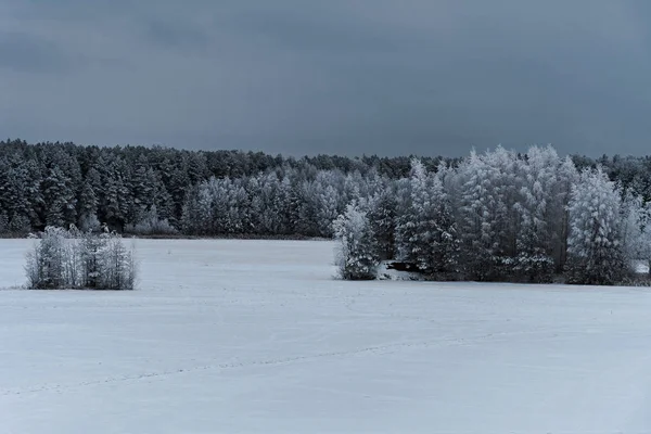Зима Карьер Ледяной Дождь Мороз — стоковое фото
