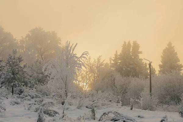 Mysterieuze Mist Motregen Een Prachtige Zonsondergang Winter Zonnewende Een Industriële — Stockfoto