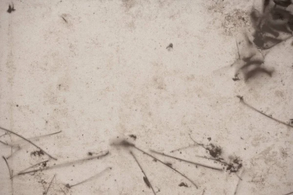 Naprosto Abstraktní Grunge Pozadí Textury Šedé Hnědé Béžové Kropenaté Špína — Stock fotografie