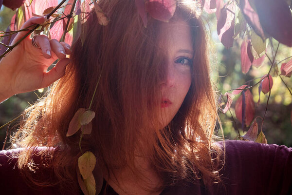 Portrait of a young lovely foxy girl with violet top, beautiful sexy attractive fiery woman, ginger, redhead, under violet lilac autumn bush,