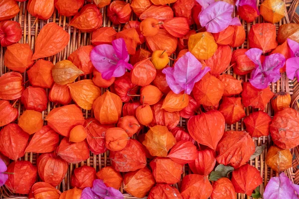 Ψάθινο Καλάθι Λυγαριά Φρέσκο Χρώμα Κόκκινο Πορτοκαλί Ροζ Ροζ Λουλούδια — Φωτογραφία Αρχείου