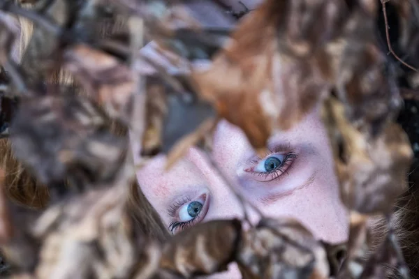 Retrato de una joven pelirroja entre las ramas de Otoño Hojas Fondo al aire libre — Foto de Stock