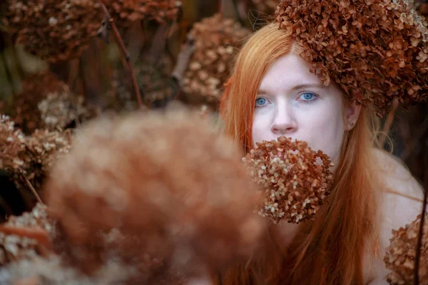 Portrait of a young red-haired girl with a clear shoulders peering out between parched hydrangeas Annabelle flowers — Stock Photo, Image