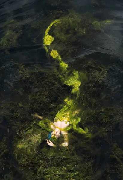 mavi saçlı güzel seksi denizkızı ve yosun uzun balık kuyruğu suda sürükleniyor