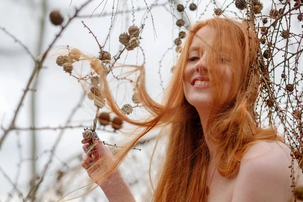 Jovem bela ruiva sexy joga rindo com cones de pinho e seu belo cabelo vermelho pego em um ramo de pinho . — Fotografia de Stock