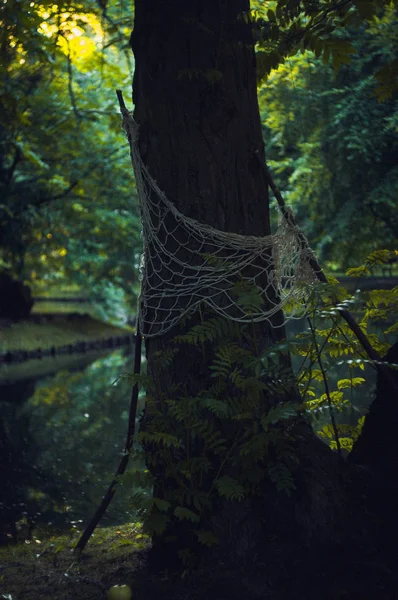 Vieux Filet Pêche Tient Côté Arbre — Photo