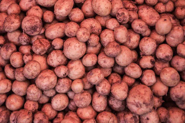 Young early red potatoes.Potatoes background.