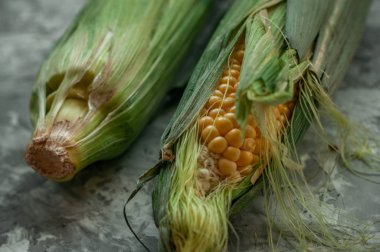Taze sarı mısır, yeşil kabuklar ve püsküller. Rustik stil.