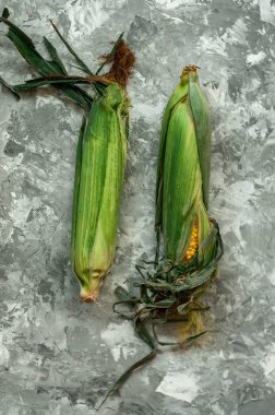 Taze sarı mısır, yeşil kabuklar ve püsküller. Rustik stil.