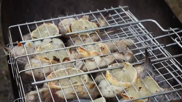 Gegrilde vis, meerval biefstuk met citroen, aromatische kruiden en groenten op de grillplaat buiten, zeevruchten op een houtskoolgrill. Lekkere sappige steaks met zout en peper. Barbecue op outdoor party — Stockvideo