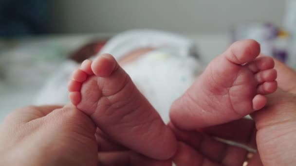 Little feet of a newborn baby in the hands of his father. A newborn lies on a changing table by the window. Father and son. Caring for a child. — Stock Video