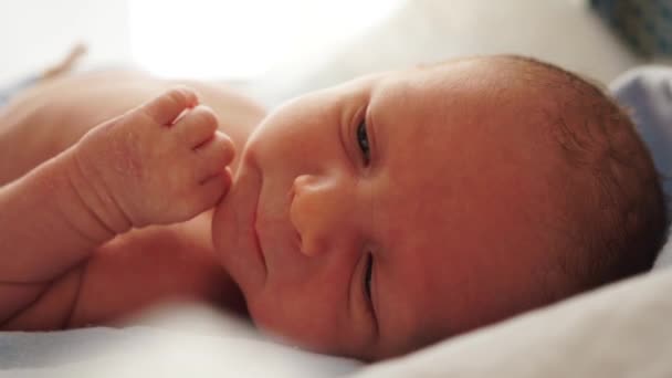 Potret seorang bayi yang baru lahir terletak di atas seprai biru dan menyentuh bibirnya dengan lidahnya. Tanpa pakaian. Saat-saat pertama kehidupan. Close-up of newborn baby face portrait — Stok Video