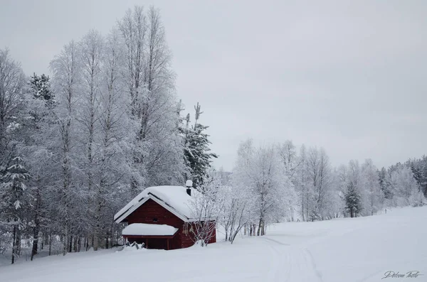 Casa de la cabaña o cabaña en la nieve en el invierno — Foto de Stock