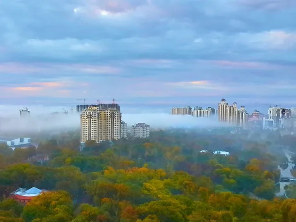 The best in the beauty and prestige district of the city of Odessa - Arcadia. A huge park with a lush palette of colors of early autumn. Elite high-rise residential buildings define the image and stunning views of the sea.