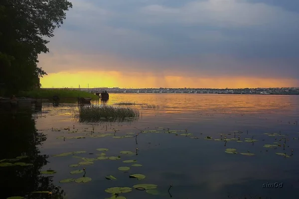 Yavaşça limon, bir turuncu gri günbatımı, bir yağmur ile içine dönüm dönüm gri gökyüzü, nerede o zaten yağıyor. Ve gözleri ile sakin nilüferler Nehri'nin sakin su yüzeyi önce. Çarpıcı bir palet renk ve ruh halleri. RIV
