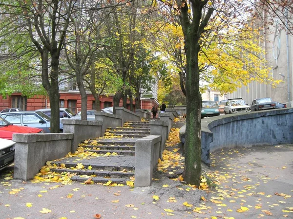 Odessa sonbaharda. Sarı yapraklar yavaşça, yavaşça retro merdivenlerden düşmek