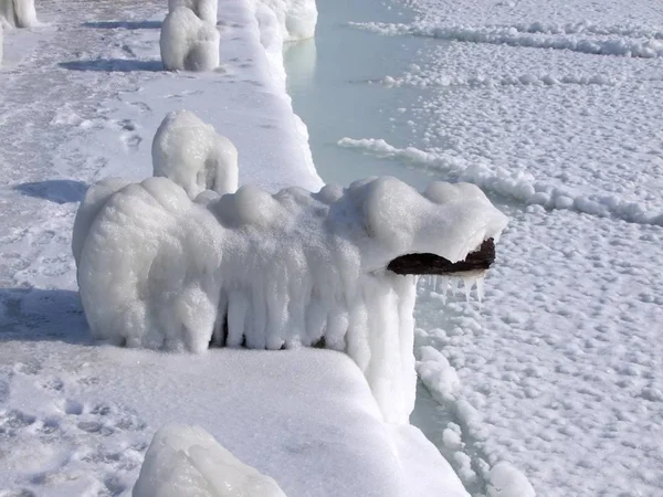 Doğa, Odessa, Ukrayna, Rüzgar, Don, deniz suyu ve demirleme tuba tarafından oluşturulan kutup ayısı tarafından oluşturulan heykel