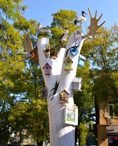 Odessa, Ukrayna'nın şehrin parkta beyaz, muhteşem ağaç. kuş evleri, kuşlar ve boynuzları üzerinde beyaz bir ağaç.