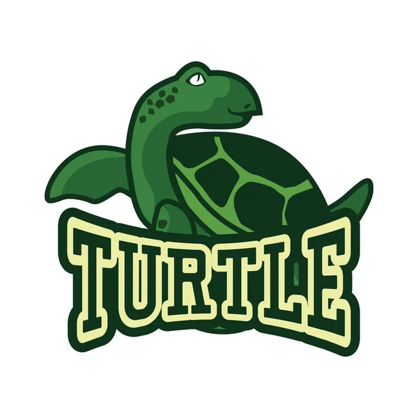 Grüne Schildkröte Logo Vektorillustration — Stockvektor