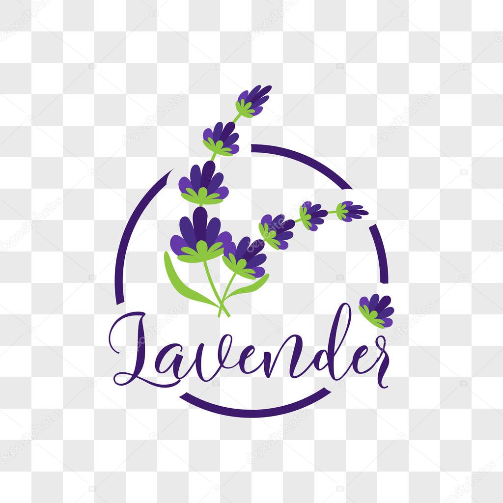 Lavender flower on transparent background. vector illustration