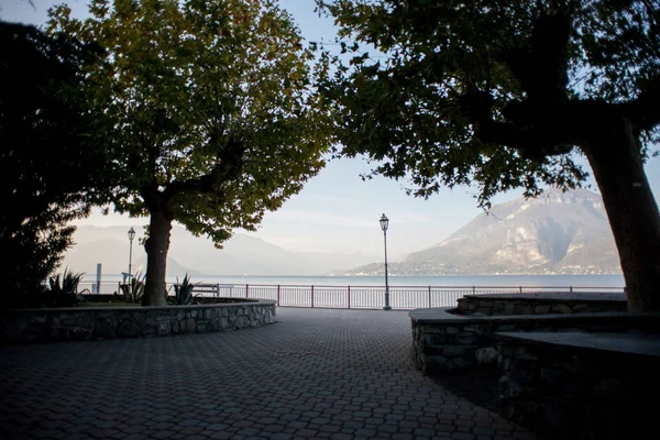 Mattina Silhouette Degli Alberi Sfondo Lago Como — Foto Stock