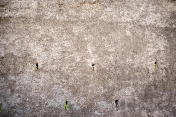 Tekstura Stary Szary Mur Beton Małymi Otworami Zielonej Trawie — Zdjęcie stockowe