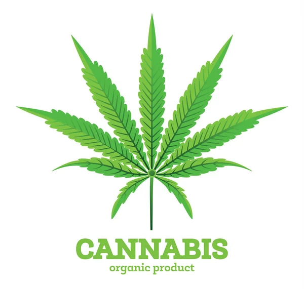 Cannabis Eller Marijuana Blad Emblem Isolerade Vitt Vektorillustration Ekologisk Produkt — Stock vektor
