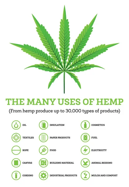 Industriehanf Infografik Mit Produktsymbolen Vektorillustration Die Vielen Verwendungsmöglichkeiten Von Cannabis — Stockvektor