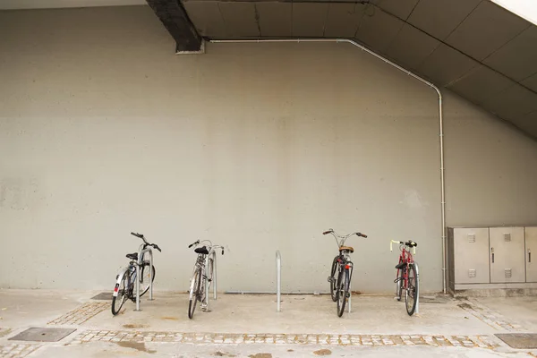 Fahrrad Einer Reihe Stehen Auf Einem Parkplatz Umweltfreundliches Verkehrskonzept — Stockfoto