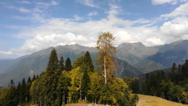 Panoramablick Mit Wald Vordergrund Von Krasnaja Poljana Sotschi Russland — Stockvideo