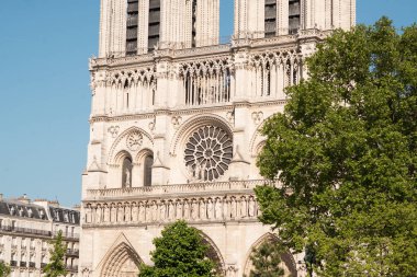 Paris'teki Notre Dame Katedrali. Fransa.