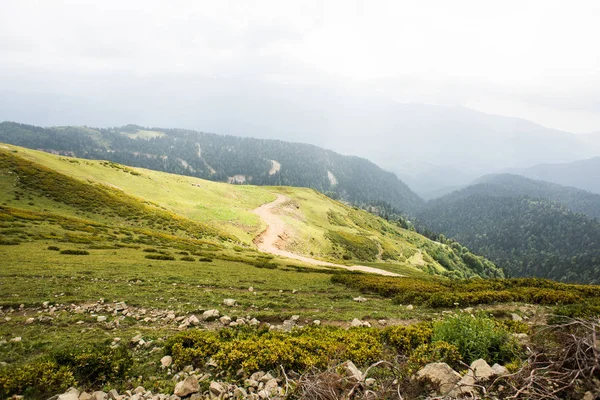 Montañas con prados alpinos y bosque verde en Sochi . —  Fotos de Stock
