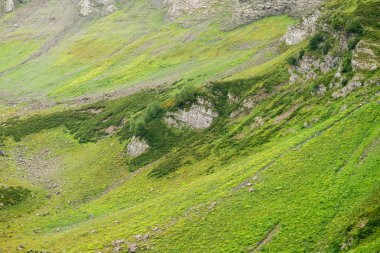 Soçi 'de alp çayırları ile dağlar. Krasnaya Polyana. Rusya.