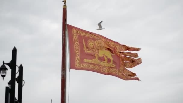 Bandera Venecia Símbolo Principal Venecia León Alado Dorado Del Evangelista — Vídeos de Stock