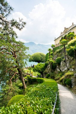 Villa Balbianello 'da. Como Gölü. İtalya - 19 Temmuz 2019: Como Gölü 'ndeki Villa del Balbianello' da, Bahçedeki Meşhur Ağaca Giden Yol. İtalya.