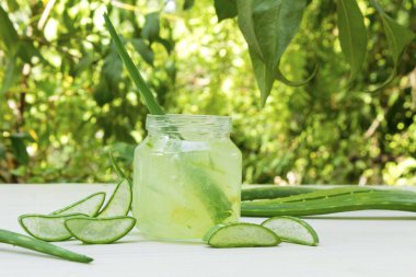 Aloe vera şeffaf özü ile taze yaprakları.