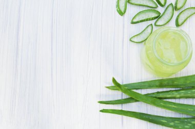 Aloe vera şeffaf özü ile taze yaprakları.