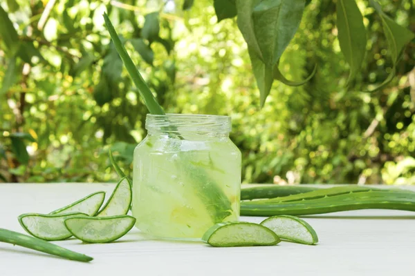 Aloe vera şeffaf özü ile taze yaprakları.