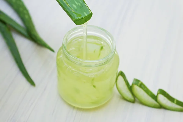 Aloe vera şeffaf özü ile taze yaprakları.