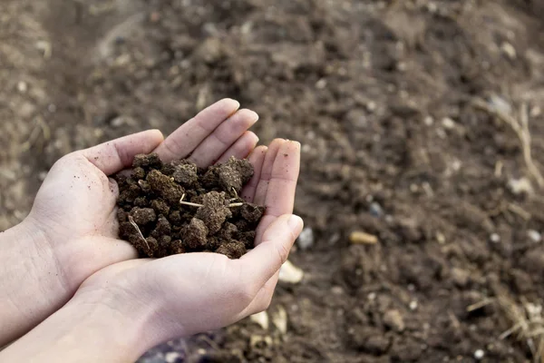 農地に土壌を持つ手 — ストック写真