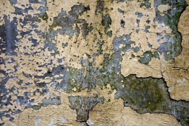 Doku eski duvar arka plan.