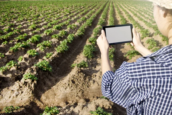 Agronomist using a digital tablet in an agriculture field.